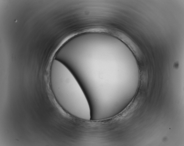 X0000103270852200808291105