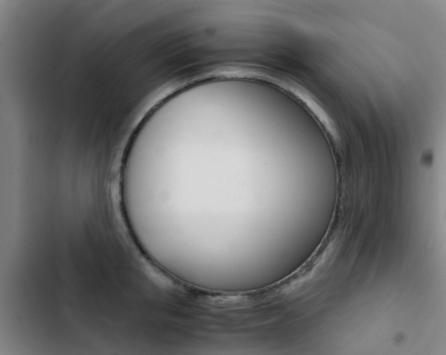 X0000103270853200808291105