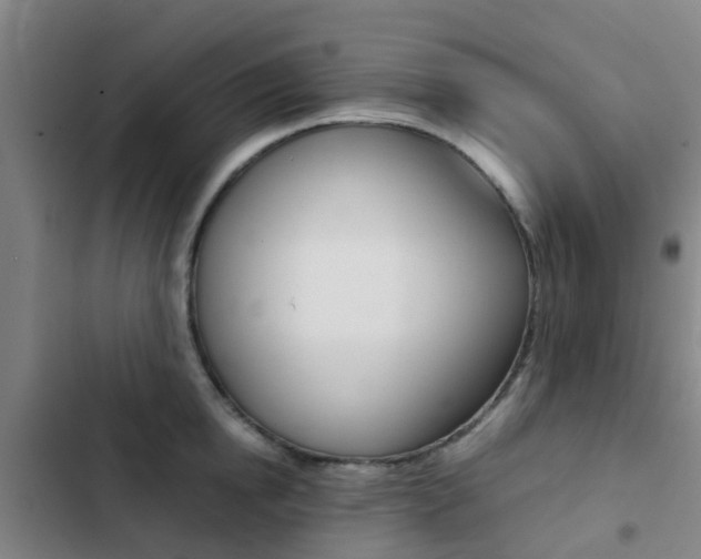 X0000103270854200808291105