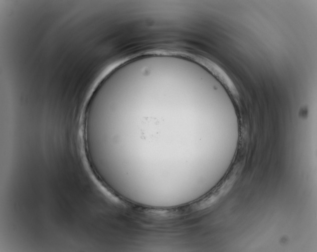 X0000103270855200808291105