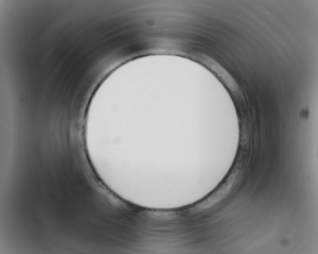 X0000103270856200808291105