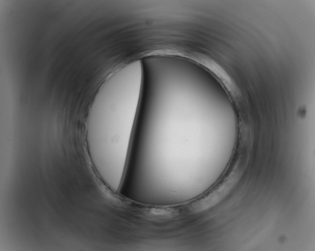 X0000103270857200808291105