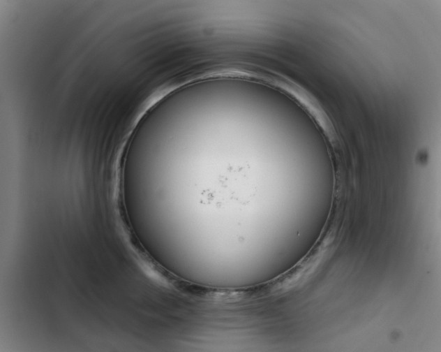X0000103270858200808291105