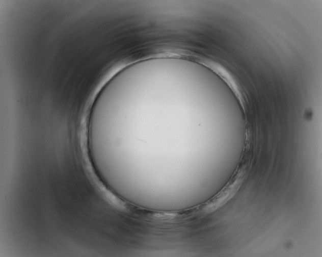 X0000103270859200808291105