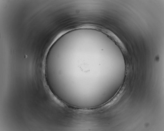 X0000103270860200808291105