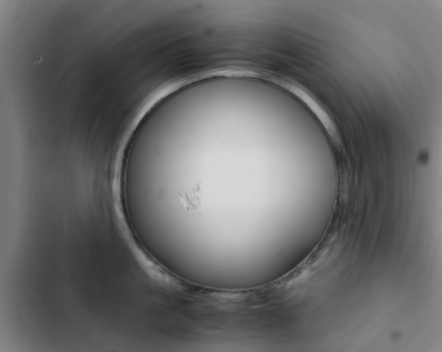 X0000103270861200808291105