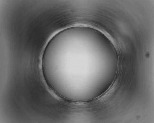 X0000103270862200808291105