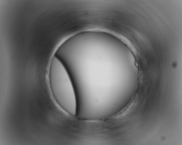 X0000103270863200808291105