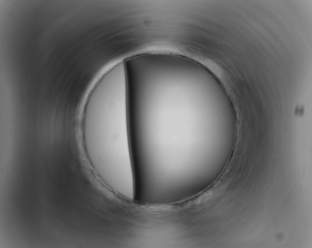 X0000103270864200808291105