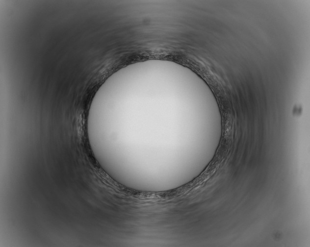 X0000103270866200808291105