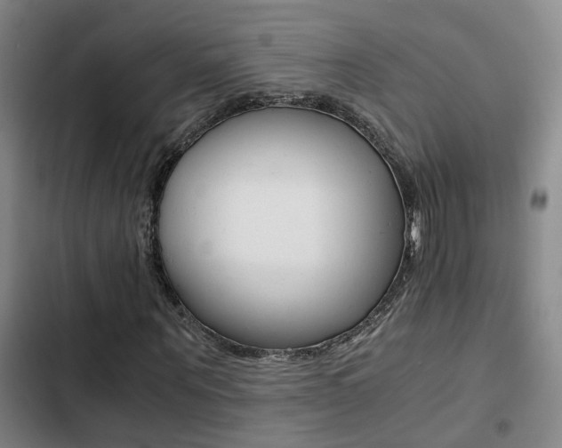 X0000103270867200808291105
