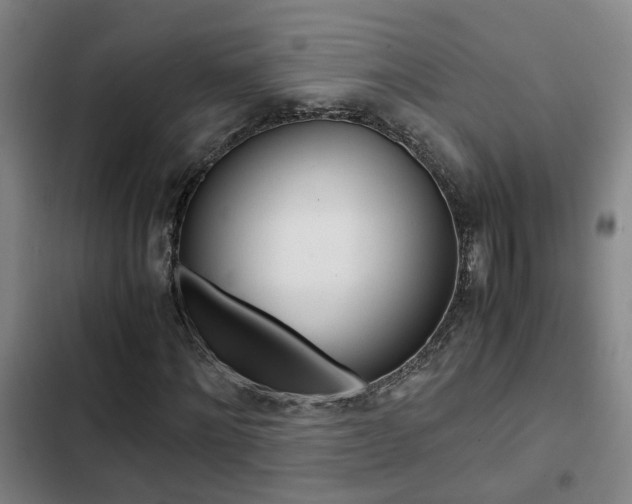X0000103270868200808291105