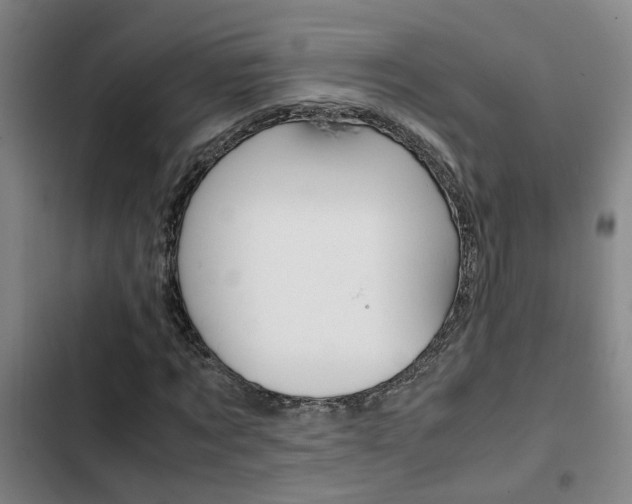 X0000103270869200808291105