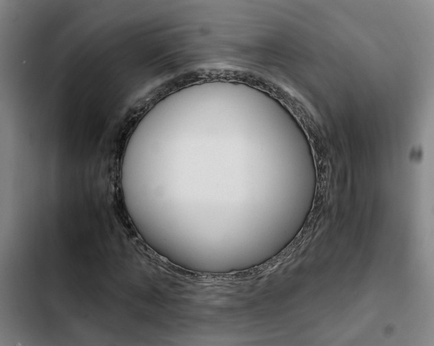 X0000103270870200808291105