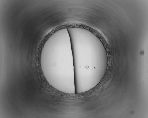 X0000103270871200808291105