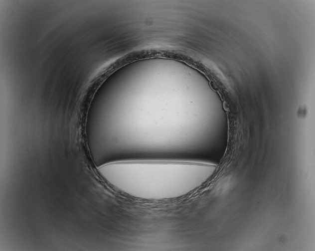 X0000103270872200808291105