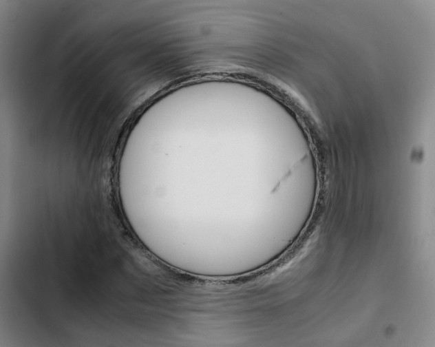 X0000103270873200808291105