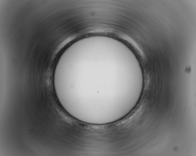 X0000103270874200808291105