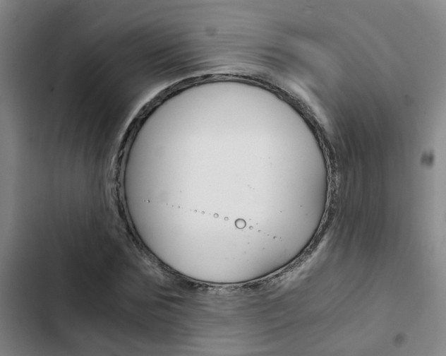 X0000103270875200808291105