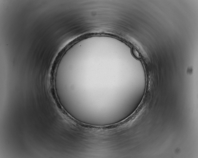 X0000103270876200808291105