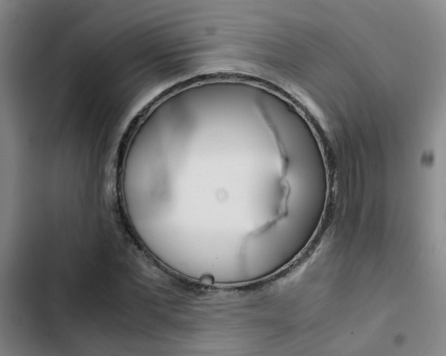 X0000103270877200808291104