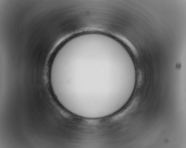 X0000103270878200808291104