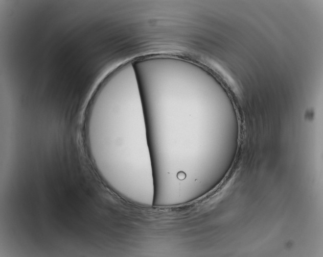 X0000103270883200808291104