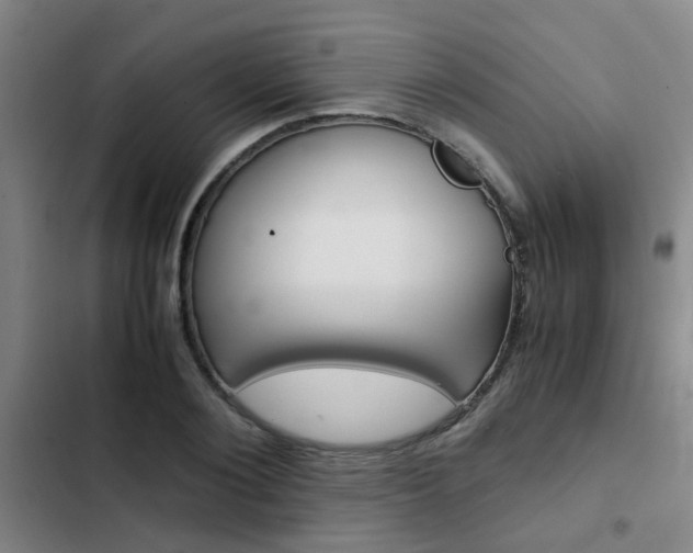 X0000103270884200808291104