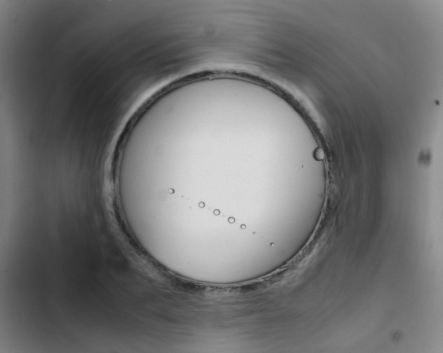 X0000103270887200808291104