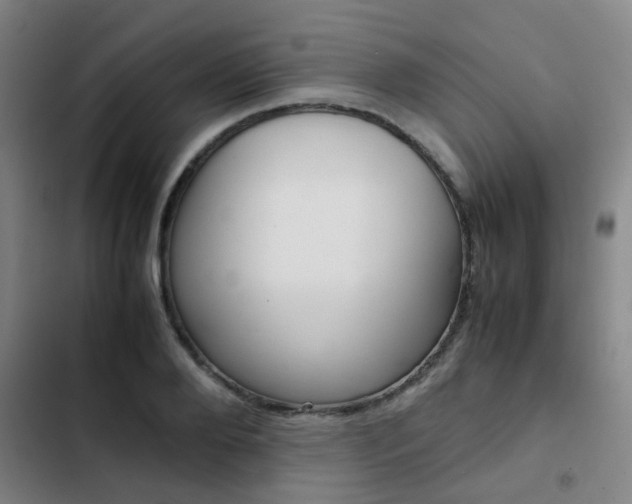 X0000103270888200808291104