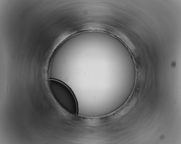 X0000103270893200808291104