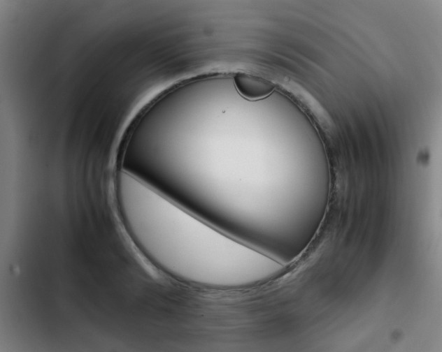 X0000103270894200808291104