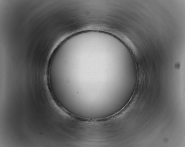 X0000103270896200808291104