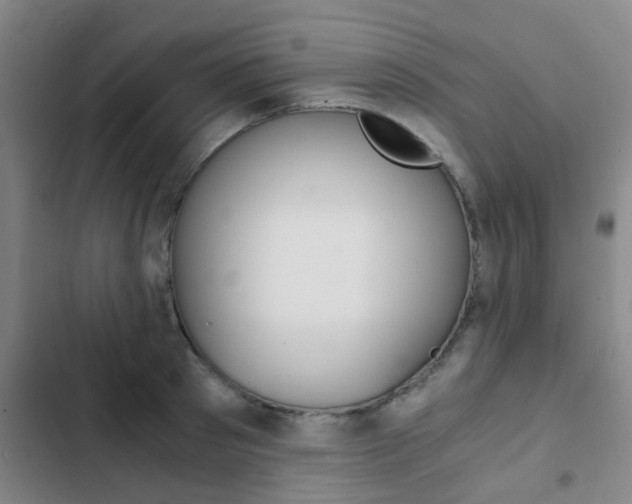 X0000103270897200808291104