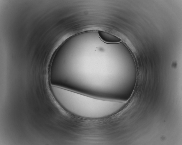 X0000103270898200808291104