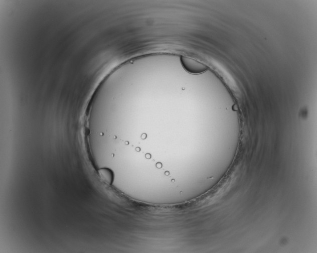 X0000103270899200808291104