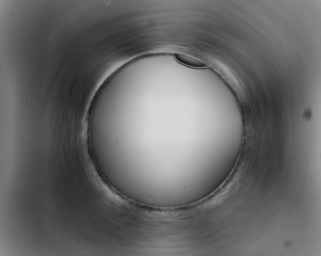 X0000103270900200808291104