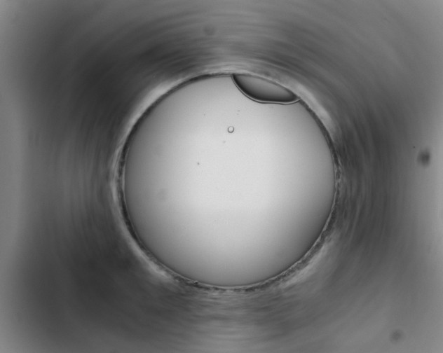 X0000103270901200808291104