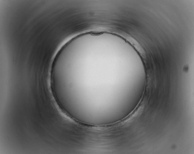 X0000103270904200808291104