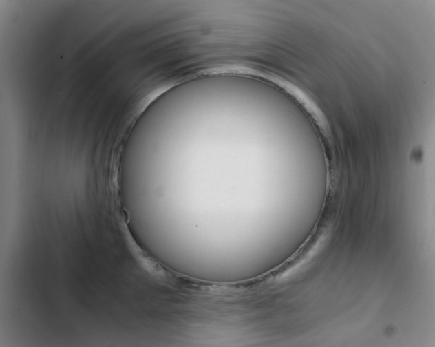 X0000103270905200808291104