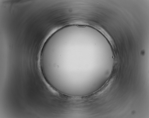 X0000103270909200808291104