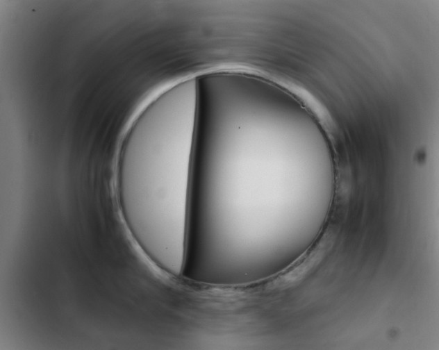 X0000103270910200808291104