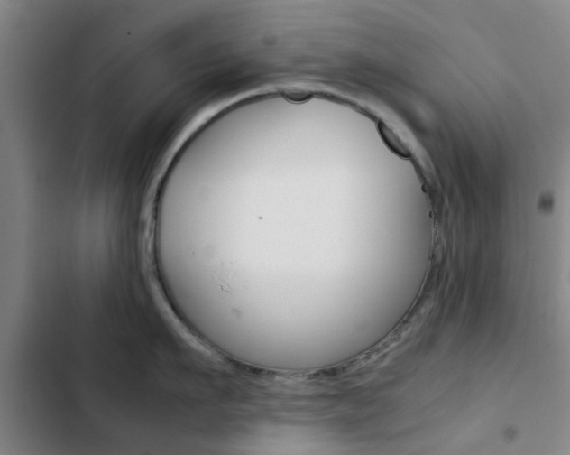 X0000103270911200808291104