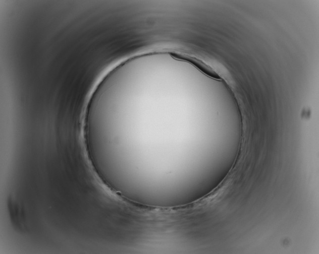 X0000103270912200808291104