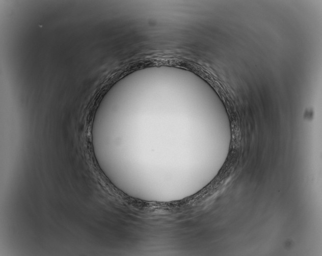X0000103270913200808291103