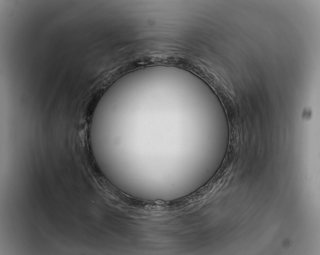 X0000103270914200808291103