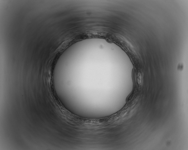 X0000103270915200808291103