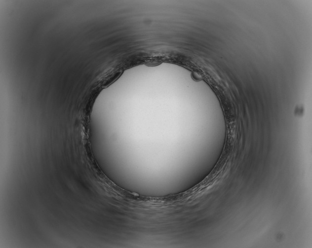 X0000103270916200808291103