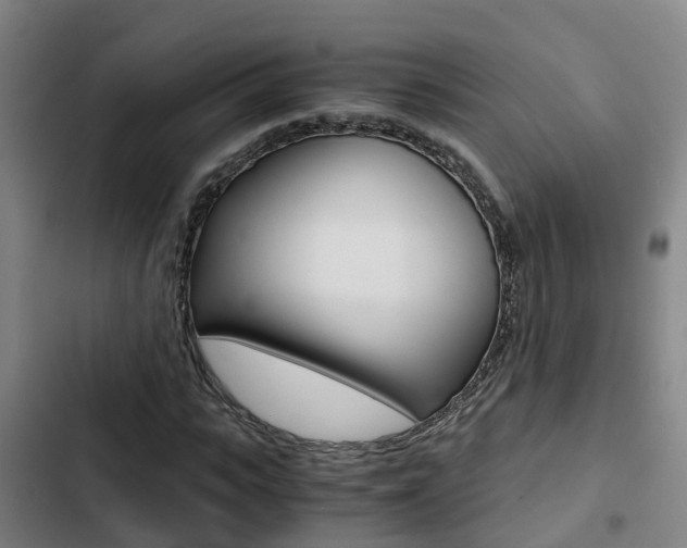 X0000103270919200808291103