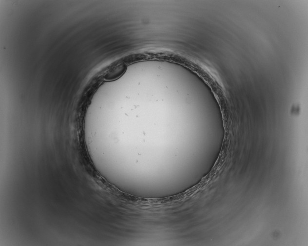 X0000103270920200808291103